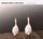 Artikelbild von Two Geese by the River