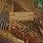 Artikelbild von Organ Works