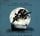 Artikelbild von Little Big World-Live & Acoustic