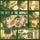 Artikelbild von Best Of The Animals