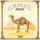 Artikelbild von Camel: Mirage
