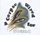 Artikelbild von A Corpse Wired For Sound