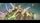 thumbnail-9