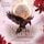 Artikelbild von Ravenhall Academy 2: Erwachte Magie