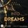 Artikelbild von Fall into Dreams - The Club-Empire, Teil 1