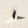 Artikelbild von The Imperfect Sea