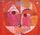 Artikelbild von Bartok, B: Bela Bartok: Piano Works