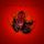 Artikelbild von The Poison Red