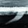 Artikelbild von The End Of A Summer