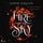 Artikelbild von A Fire in the Sky