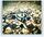Artikelbild von The Northern Religion Of Things