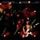 Artikelbild von G3-Live In Concert