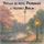 Artikelbild von Voyages de R&ecirc;ve pour Enfants et Adultes, Voyage de r&ecirc;ve: Promenade &agrave; travers Berlin