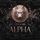 Artikelbild von New York Alpha (Part 12)