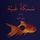 Artikelbild von Stupid fish