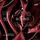 Artikelbild von Bound III