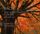 Artikelbild von J. S. Bach: The Well-Tempered Clavier