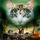 Artikelbild von Warrior Cats - Vision von Schatten. Zerrissene Wolken