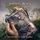 Artikelbild von Postcards From The End Of The World