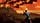 thumbnail-11