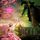 Artikelbild von Wicked
