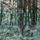 Artikelbild von Out Of Time
