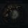 Artikelbild von Torch Runner: Endless Nothing