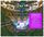 Artikelbild von All One Tonight (Live At The Royal Albert Hall)