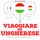 Artikelbild von Viaggiare in ungherese