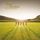 Artikelbild von Blue Rodeo: Things We Left Behind