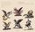 Artikelbild von Paolo Pandolfo & Balestracci & Rolf Lislevand: Pieces De Vio