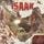 Artikelbild von The Longer The Beard The Harder The Sound
