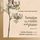 Artikelbild von Sonatas for violin and piano (Vol. III)