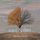 Artikelbild von The Alders & the Ashes