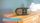 thumbnail-7
