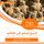 Artikelbild von Summary of the history of salt history in the world