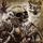 Artikelbild von Pillars of Ash