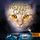 Artikelbild von Warrior Cats - Die neue Prophezeiung. Sternenglanz