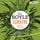 Artikelbild von Gr&uuml;n ist die Hoffnung