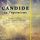 Artikelbild von Candide ou l'optimisme