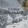 Artikelbild von Owls of the Eastern Ice: A Quest to Find and Save the World's Largest Owl
