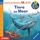 Artikelbild von Tiere im Meer [Wieso? Weshalb? Warum? JUNIOR Folge 57]