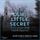 Artikelbild von Our Little Secret