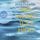 Artikelbild von No Waves too high