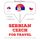 Artikelbild von Travel words and phrases in Czech