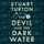 Artikelbild von The Devil and the Dark Water