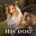 Artikelbild von His Dog