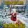 Artikelbild von The Christmas Child