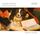 Artikelbild von Overtures & Concertos