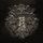 Artikelbild von Endless Forms Most Beautiful